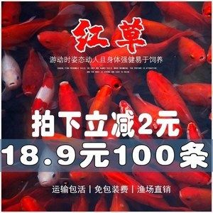 紅龍魚水質指標是什么：關于紅龍魚的水質指標及其重要性