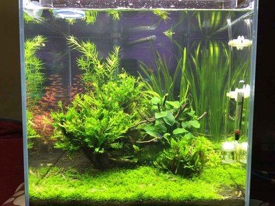 博龍魚缸客服電話