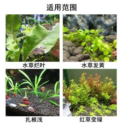 博龍魚缸客服電話
