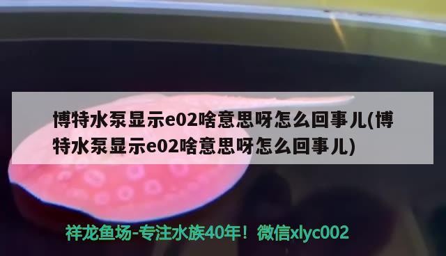 博特水泵顯示e02啥意思呀怎么回事兒(博特水泵顯示e02啥意思呀怎么回事兒)