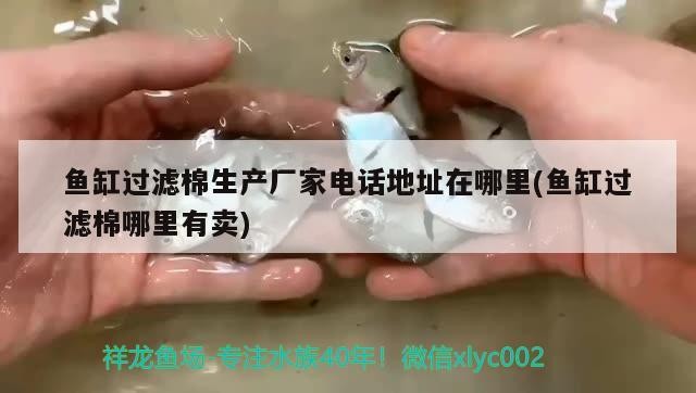 魚缸過濾棉生產廠家電話地址在哪里(魚缸過濾棉哪里有賣)