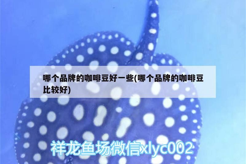 哪個品牌的咖啡豆好一些(哪個品牌的咖啡豆比較好)
