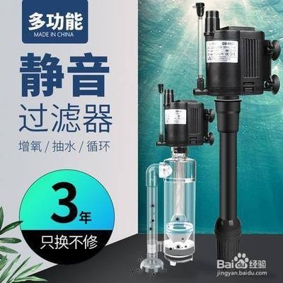 過(guò)背金龍魚(yú)燈光設(shè)置最佳參數(shù)，如何判斷過(guò)背金龍魚(yú)是否需要調(diào)整燈光
