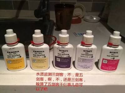 魟魚水質(zhì)檢測頻率建議：魟魚養(yǎng)殖中水質(zhì)檢測的頻率問題