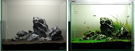 2米長魚缸加水后效果：2米長的魚缸加水后效果如何，魚缸加水后的效果如何