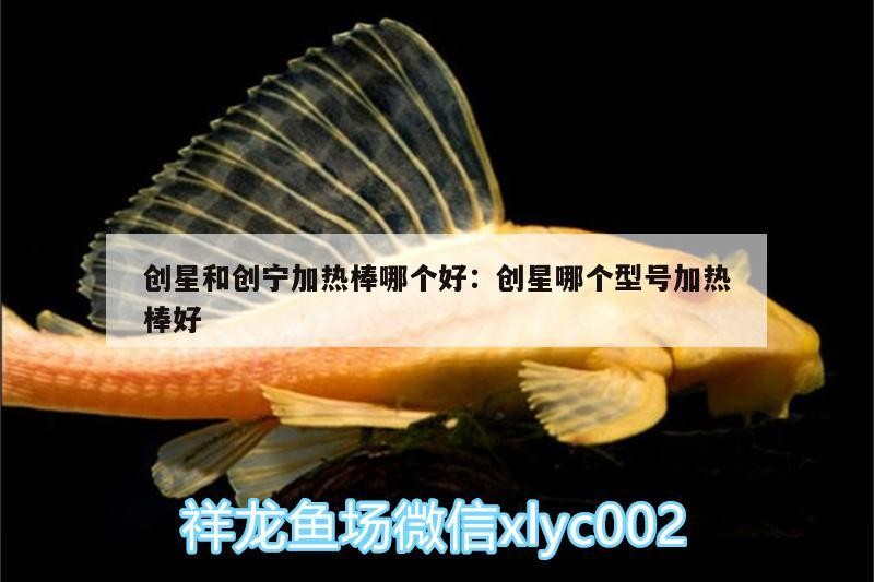 創(chuàng)星和創(chuàng)寧加熱棒哪個(gè)好:創(chuàng)星哪個(gè)型號(hào)加熱棒好