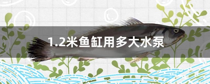 1.2米魚缸用多大水泵