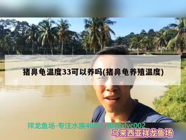 龍魚摔了一下,嘴巴不停的張開合住：龍魚摔了一下,嘴巴不停的張開合住怎么回事