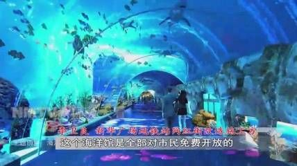 呼和浩特水族館vs祥龍魚場（呼和浩特水族館與祥龍魚場各有側重）