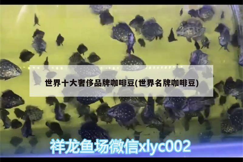 世界十大奢侈品牌咖啡豆(世界名牌咖啡豆)