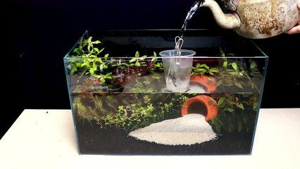 成品魚缸改造成草缸視頻：成品缸改造成草缸的步驟了解