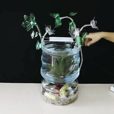5個礦泉水瓶魚缸圖片：如何使用五個礦泉水瓶制作魚缸