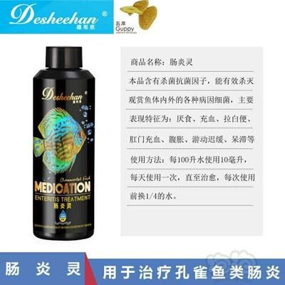 博特創(chuàng)寧酷魚：博特、創(chuàng)寧和酷魚哪個(gè)好