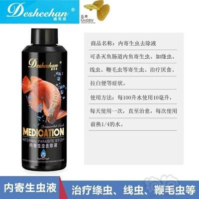 博特創(chuàng)寧酷魚：博特、創(chuàng)寧和酷魚哪個(gè)好