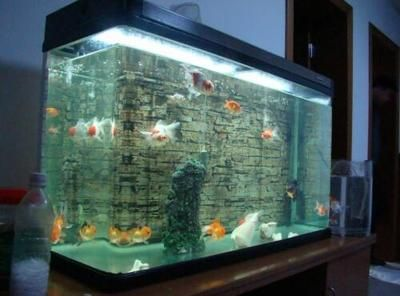 玻璃魚缸有水垢怎么清理干凈：如何清理玻璃魚缸水垢