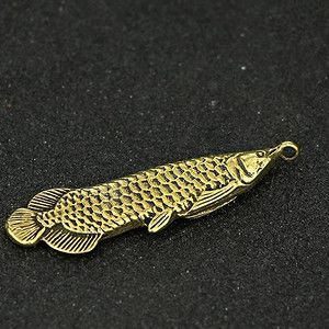 金龍魚有須子嗎