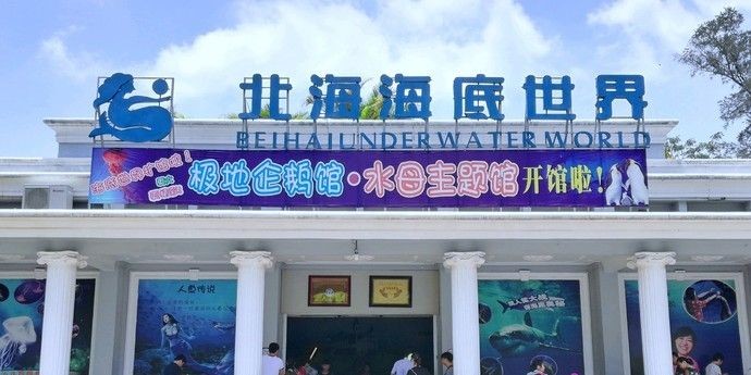 北海水族館vs祥龍魚場（中國廣西壯族自治區北海市北海市北海市北海市北海水族館）