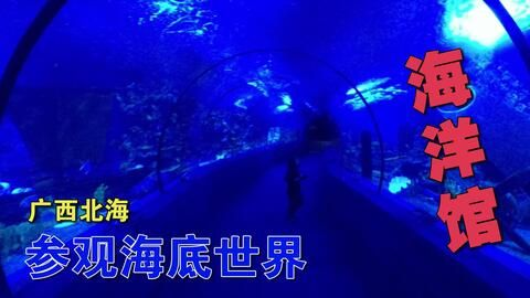 北海水族館vs祥龍魚場（中國廣西壯族自治區北海市北海市北海市北海市北海水族館）