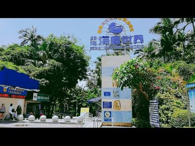 北海水族館vs祥龍魚場（中國廣西壯族自治區北海市北海市北海市北海市北海水族館）