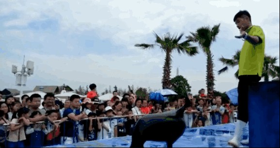 高陵水族館vs祥龍魚場（高陵水族館與祥龍魚場之間的差異之前，我們需要明確兩者的基本信息和特點）
