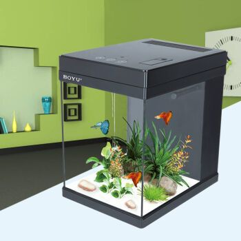 博宇的魚缸怎么樣：博宇品牌的魚缸在市場上有著一定的知名度和良好的口碑