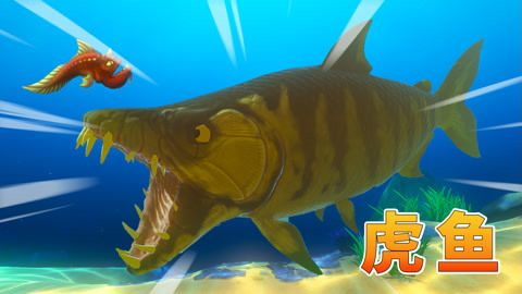 虎魚吃東西視頻：關(guān)于虎魚吃東西的相關(guān)信息