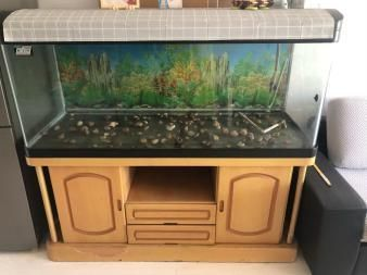 成品魚缸推薦品牌：魚缸產品牌有哪些？