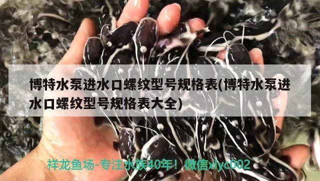 博特水泵進水口螺紋型號規格表(博特水泵進水口螺紋型號規格表大全)
