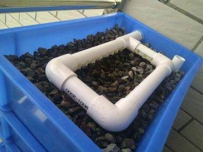 不插電過濾水魚缸能養魚嗎：不插電的魚缸可以養魚嗎古法養魚技巧古法養魚技巧
