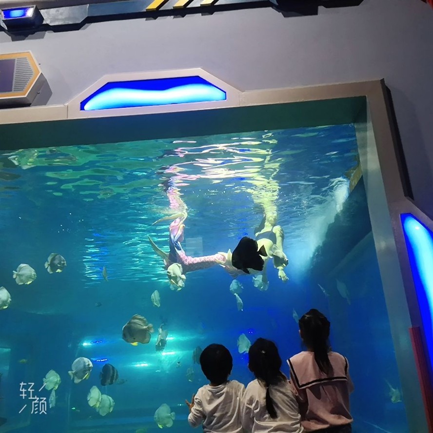 湘潭水族館vs祥龍魚場（探討湘潭水族館與祥龍魚場之間的差異時需要明確兩者的主要業務和特點）