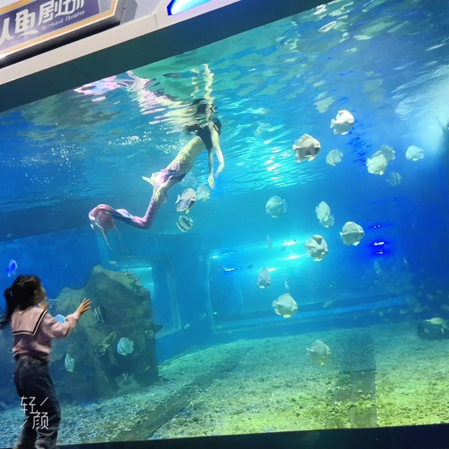 湘潭水族館vs祥龍魚場（探討湘潭水族館與祥龍魚場之間的差異時需要明確兩者的主要業務和特點）
