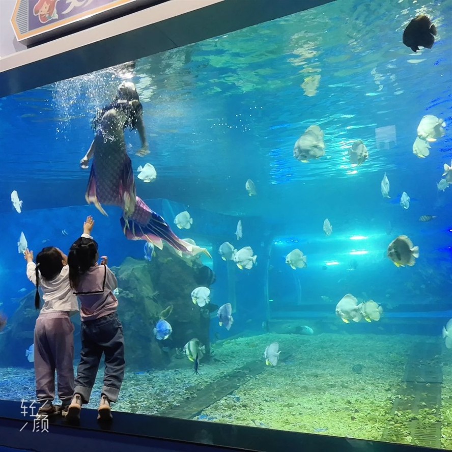 湘潭水族館vs祥龍魚場（探討湘潭水族館與祥龍魚場之間的差異時需要明確兩者的主要業務和特點）