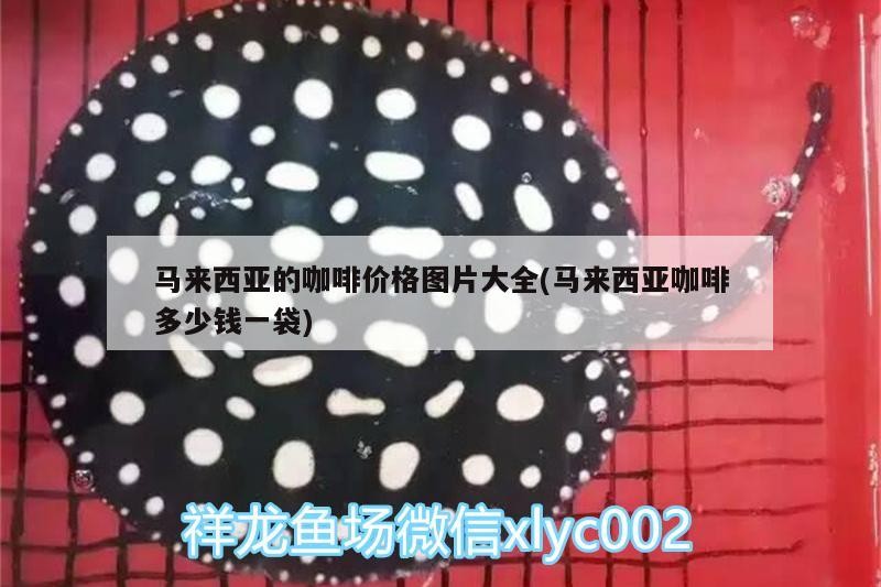 馬來西亞的咖啡價(jià)格圖片大全(馬來西亞咖啡多少錢一袋)