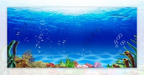 白色魚缸背景圖高清圖：白色魚缸背景素材大全