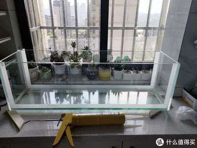 玻璃魚缸打膠后幾天放水：玻璃魚缸打完玻璃膠后多久放水？