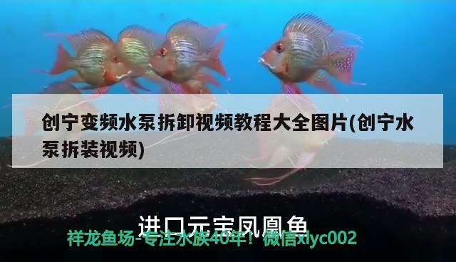 創(chuàng)寧變頻水泵拆卸視頻教程大全圖片(創(chuàng)寧水泵拆裝視頻)