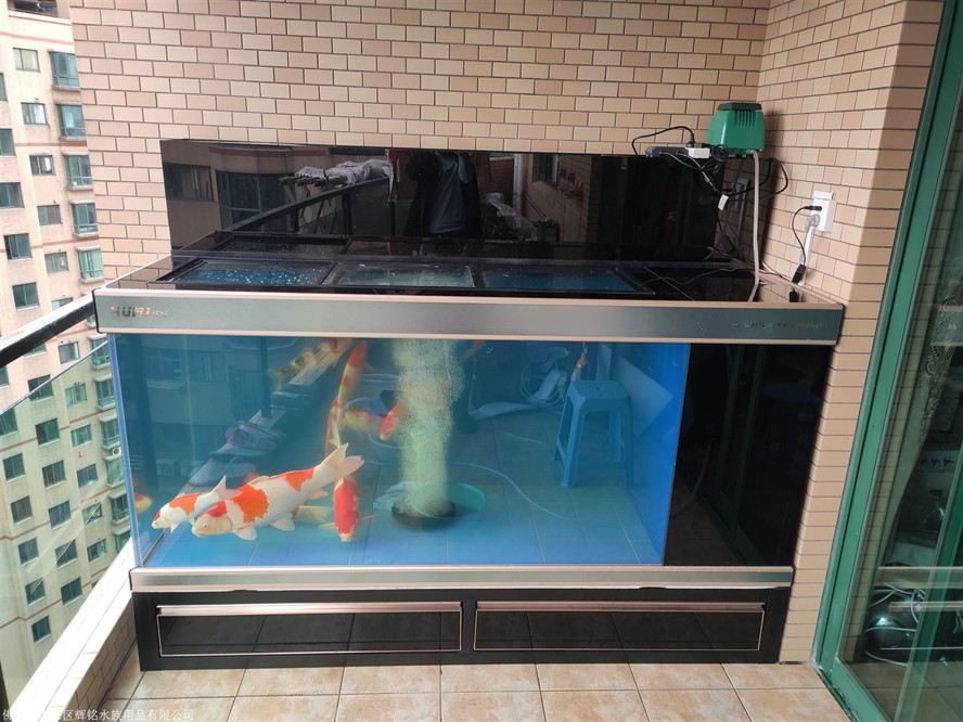 博尊魚缸怎么樣：博尊魚缸在產品種類和定制服務方面具有一定優勢