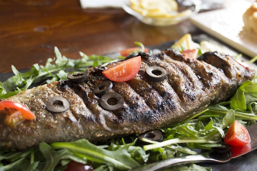 過(guò)背金龍魚(yú)怎么挑選好的魚(yú)（過(guò)背金龍?jiān)趺纯焖兖B(yǎng)出藍(lán)底）