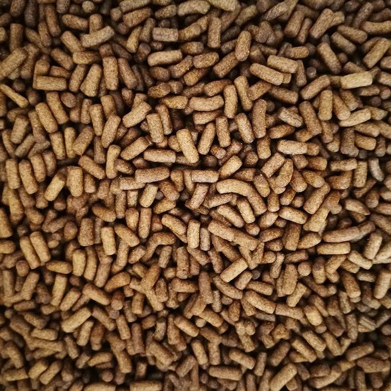 半紅龍魚飼料殘留處理：半紅龍魚飼料殘留對水質影響