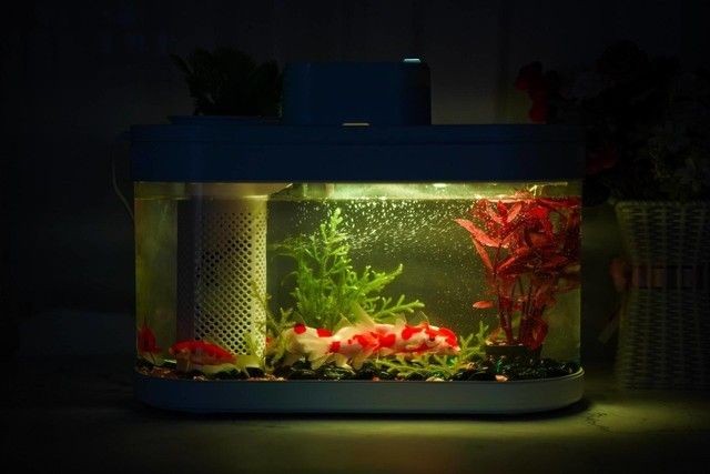 giea是什么牌子魚缸giea是什么牌子魚缸（giea魚缸怎么樣）：giea品牌介紹giea魚缸怎么樣