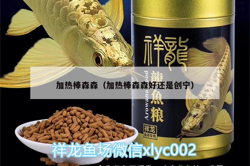 加熱棒森森（加熱棒森森好還是創寧）