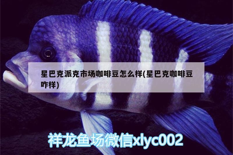 星巴克派克市場咖啡豆怎么樣(星巴克咖啡豆咋樣)