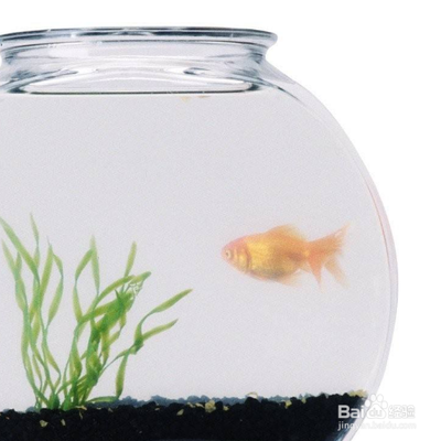 營口市站前區榮生水族店（營口市站前區榮生水族店電話）