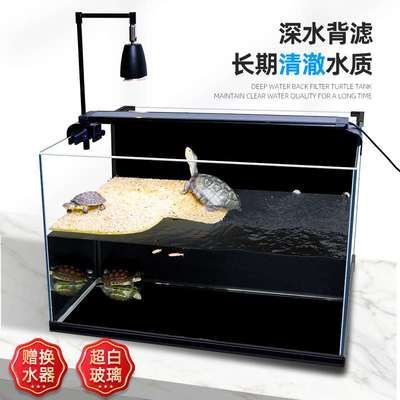 養虎魚需要多大的缸合適：養虎魚需要多大的魚缸合適