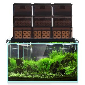 1米2魚缸上濾槽多寬:1米2魚缸上濾槽的寬度并沒有一個固定的值 魚缸百科 第2張 1米2魚缸上濾槽多寬:1米2魚缸上濾槽的寬度并沒有一個固定的值 1米2魚缸上濾槽多寬:1米2魚缸上濾槽的寬度并沒有一個固定的值 魚缸百科 第2張