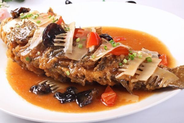 龍魚寄養要多少錢vs祥龍魚場：龍魚寄養服務價格對比祥龍魚場寄養服務價格對比 龍魚寄養要多少錢vs祥龍魚場：龍魚寄養服務價格對比祥龍魚場寄養服務價格對比 vs祥龍魚場 第5張