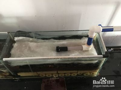 博宇魚缸過濾器安裝視頻：博宇魚缸過濾器安裝指南