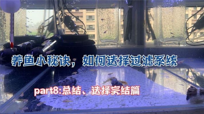 魟魚過濾系統選擇指南：[需手動填充]魚過濾系統的選擇