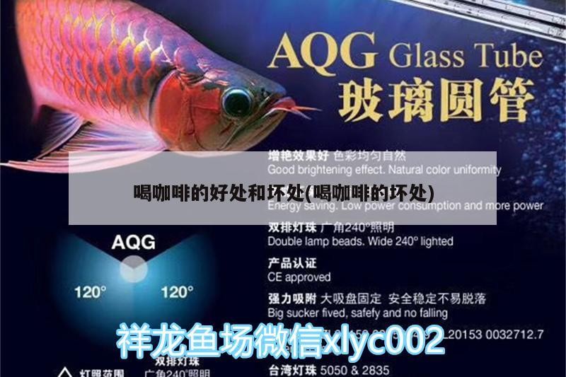 喝咖啡的好處和壞處(喝咖啡的壞處)