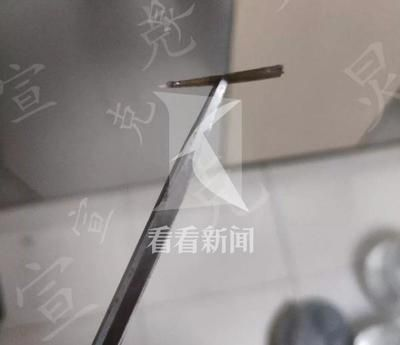 魟魚打針影響繁殖嗎視頻：魟魚打針會影響繁殖嗎